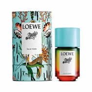 Loewe Paula's Ibiza