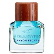 Hollister Canyon Escape Man