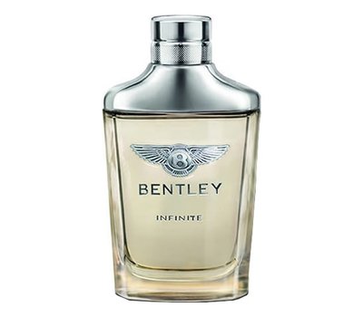 Bentley Infinite 100671