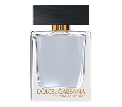 Dolce Gabbana (D&G) The One Gentleman 106541