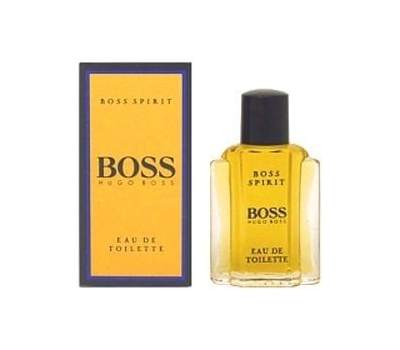 Hugo Boss Spirit