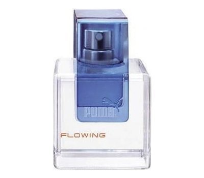 Puma men perfume best sale