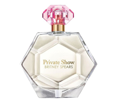 Britney Spears Private Show
