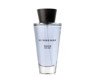 Burberry Touch for Men 185484