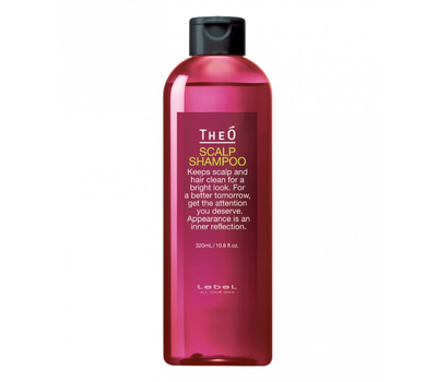 Многофункциональный шампунь для мужчин Lebel Theo Scalp Shampoo