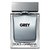Dolce Gabbana (D&G) The One Grey